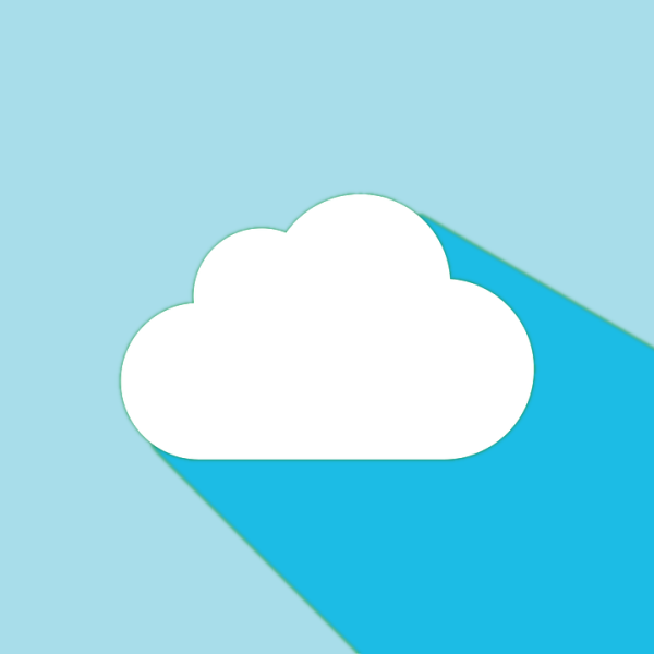 Logo SelfCommerce Local Plus