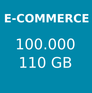 Hosting e-commerce 100.000 visite mensili 110 GB di spazio
