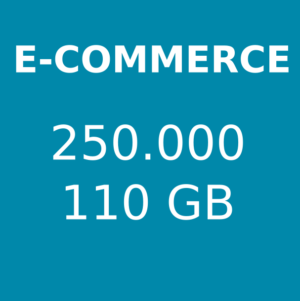 Hosting e-commerce 250.000 visite mensili 110 GB di spazio