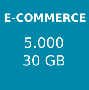 Hosting e-commerce 5.000 visite mensili 30 GB di spazio